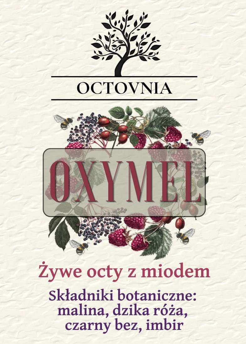 Oxymel Żywy Ocet z Miodem