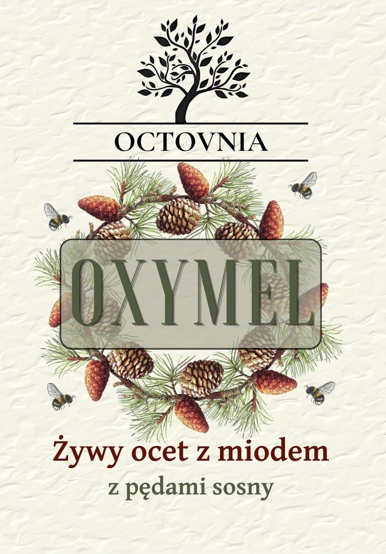 Oxymel Żywy Ocet z Miodem - Sosnowy